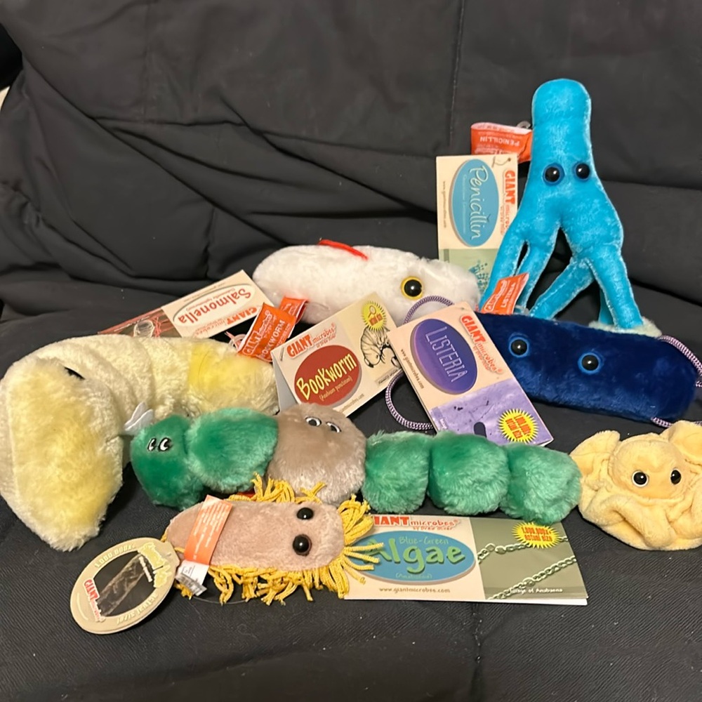 Group of stuffed bacteria and viruses.